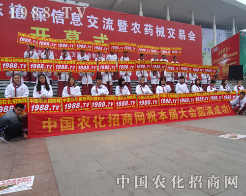 2014ɽ�|ֲ�������貵�����