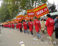 ɽ�|ֲ�������ഺ���҂���(zh��n)����������