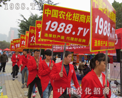 �r(n��ng)�����̾W(w��ng)��2015ɽ�|����ֲ�����e�O�Mȡ