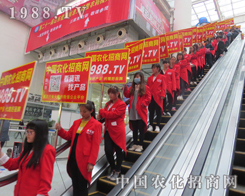 2015ɽ�|ֲ����(hu��)�r(n��ng)������׌����ǰһ��