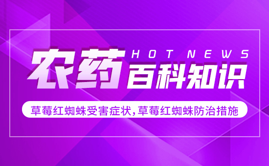 ��ݮ�t֩���ܺ��Y������ݮ�t֩����δ�ʩ