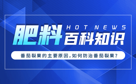 �����ѹ�����Ҫԭ������η��η����ѹ���