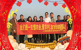 ���Խ�r(n��ng)�I(y��)����ף������������������д��\��