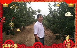 ����������ʘI(y��)��ȫ�w�T����ף���Ͽ͑�����옷�������³���