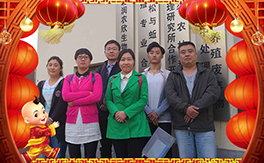 ���������B(t��i)��ף��(j��ng)�N���������µ�һ���������³�������������