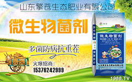 �����n���B(t��i)����ף���Ͽ͑��i���д��\(y��n)��ؔԴ�L�L����