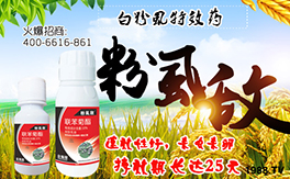 �����˹�r(n��ng)�I(y��)��ף�������w�������f��������