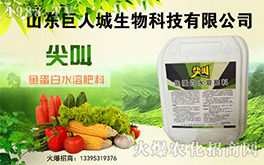 �����˳����ף������µ�һ�������w�����������³ɣ��f��������