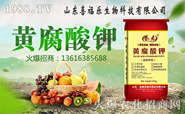 ��ϲ������ף������µ�һ���﹤�����������������