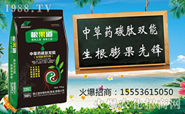 �����u��֮����ףԸһ·�������т����w�������i�꼪�飡