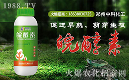 ���пƻ�����ף�������µ�һ�����Ҹ����M���H�Қg��