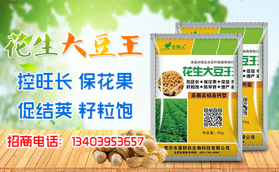 ��ϲ�������ף��(j��ng)�N������A�M����������������ģ�