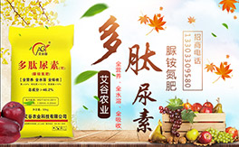 �������r(n��ng)�I(y��)����ף����´��옷�����w�������H���Ҹ����f��������