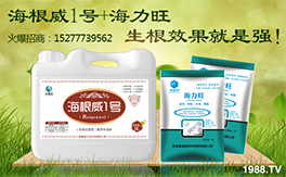 ��Ӣ���W�ʩ��ף���g�gϲϲӭ�i�����f������ƽ������