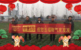 ��(li��n)¡���ʡ�ף������µ�һ�������w�������f��������