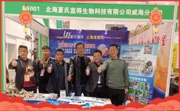 �����������{�á���ף���Ͽ͑������д��\��ؔԴ�L�L���������³���