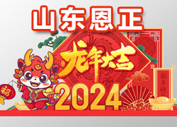 【山東恩正】祝大家在新的一年里金龍騰飛、大展鴻圖，一帆風順！