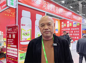 【龍歌植?！孔Ｔ复蠹荫R年大吉、龍馬精神！