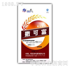 ���-���ɸ�