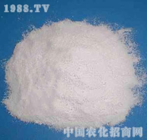 ����-������