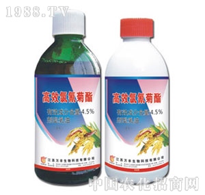 �f�S�r(n��ng)��-4.5%�������