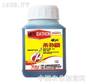 �Ͼ�һ��-������