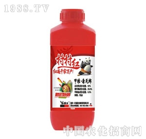 �Ͼ�һ��-���t