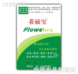 ���u�S��-���T��