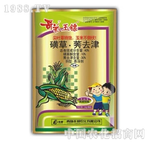 ���u�S��-������S