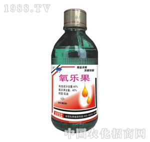 ��򸻰�����-����(l��)��