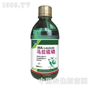 ��򸻰�����-�R������