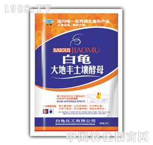 ��������-����S������ĸ