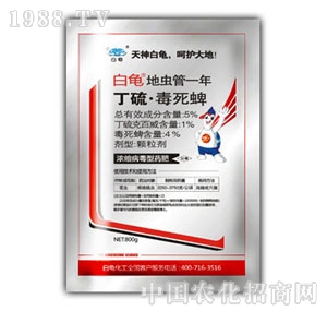 ��������-���x(ch��ng)��һ��