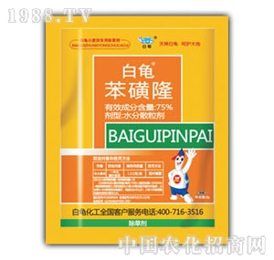 ����-����¡