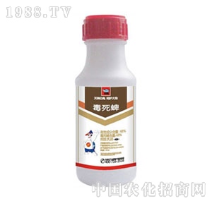 ����-������