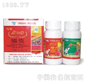 ����-������