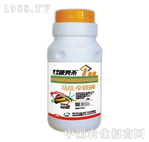 �A�S���r(n��ng)-ä���w�xӲ����