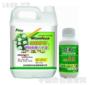 �W�P-��������