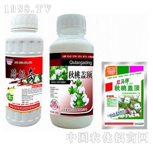 �W�P-�����w�