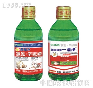 ���G�̌�-������