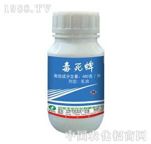 �S���r��-������