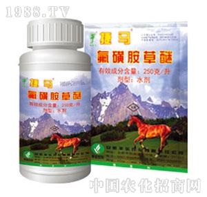 �S���r(n��ng)��-���ǰ�����