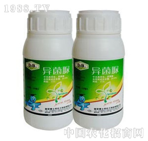 ��ʿ��-������