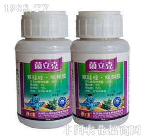 ��ʿ��-���������r��