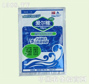 �̴T�S-��(��i)����