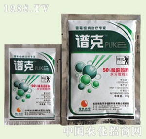 �̴T�S-�V��