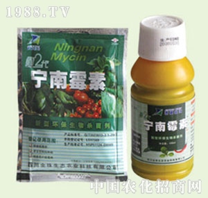 �̴T�S-����ù��