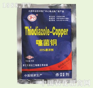 �̴T�S-����~