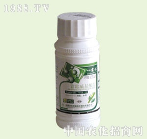 �̴T�S-�б�¶��