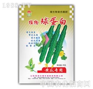 ���A��(qi��ng)-�S�����򵰰�